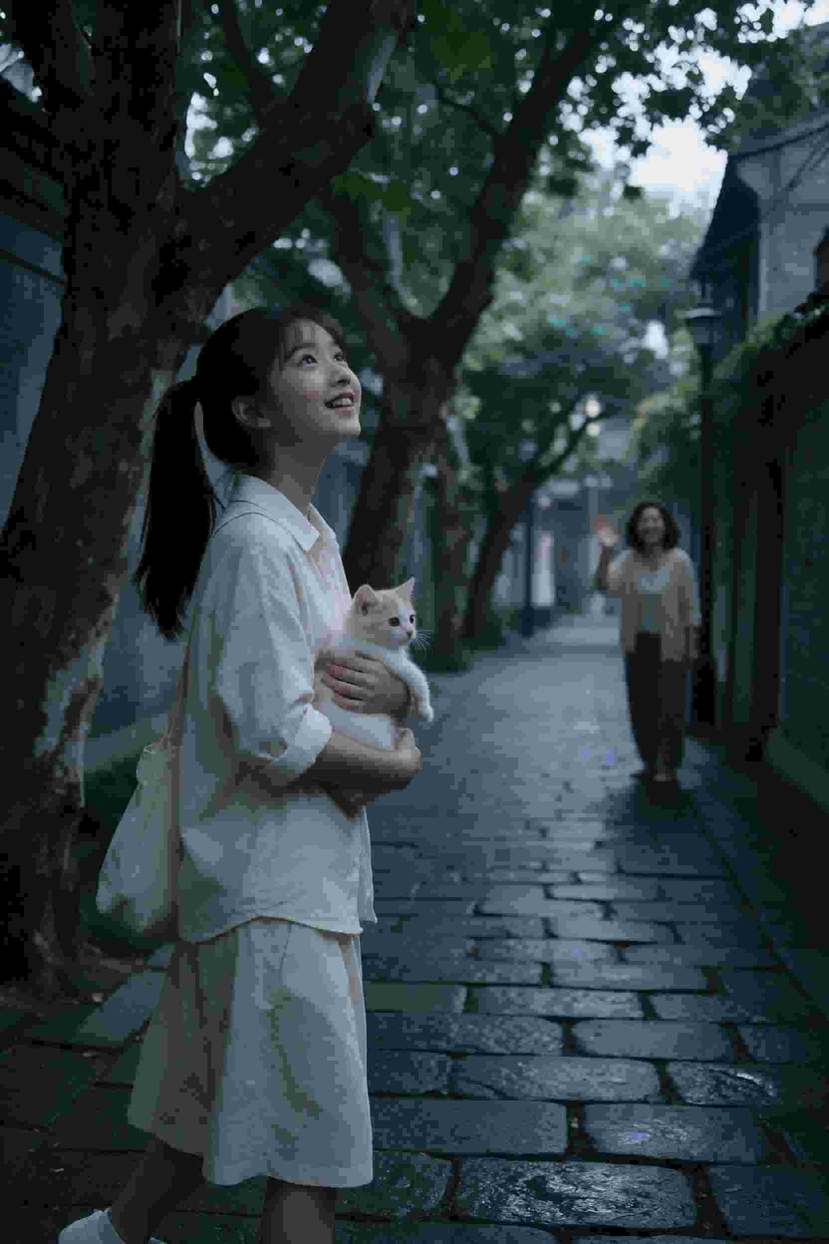 高三之恋